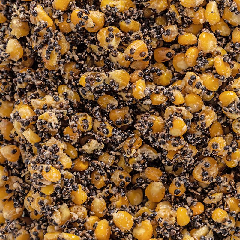 Körnermischung Karpfen Target Mais-Kongo 50% + Eimer 10 l
