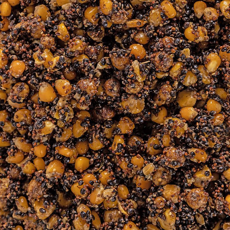 Karpfen Zielkornmischung Mais-Kongo-Gummi 33% + Eimer 10 l