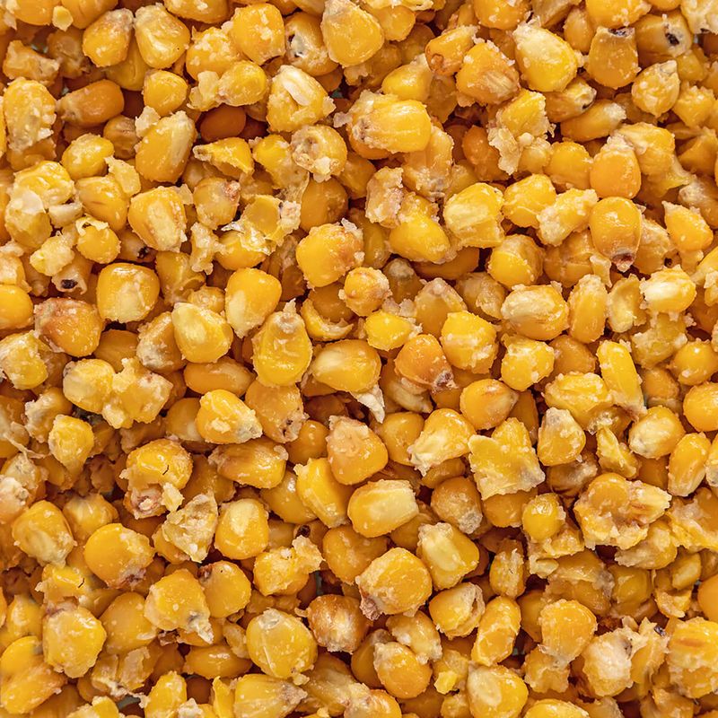 Angeln Mais Karpfen Ziel Vanille + Eimer 10 l