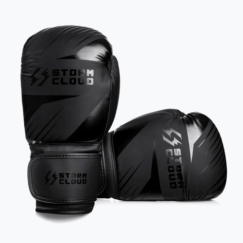 Boxhandschuhe StormCloud Lynx 2.0 black/black 3