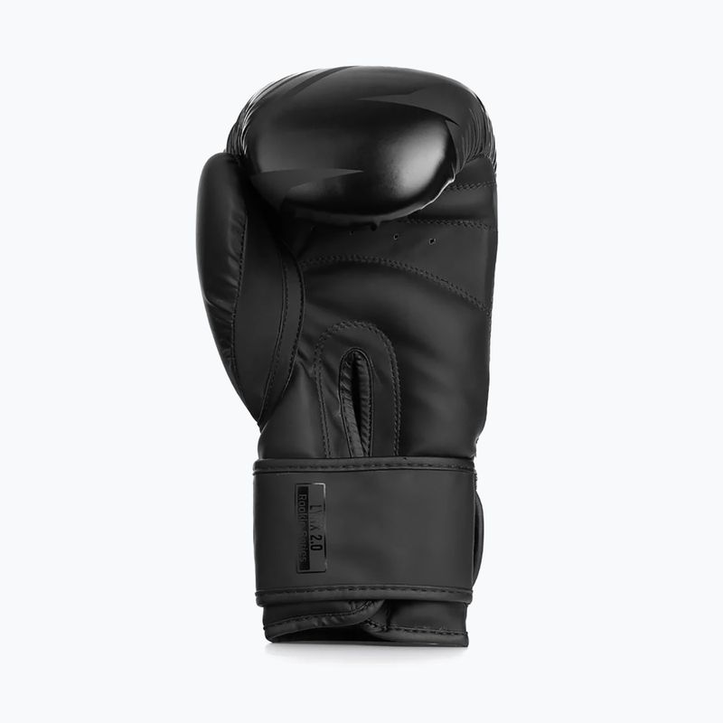 Boxhandschuhe StormCloud Lynx 2.0 black/black 5