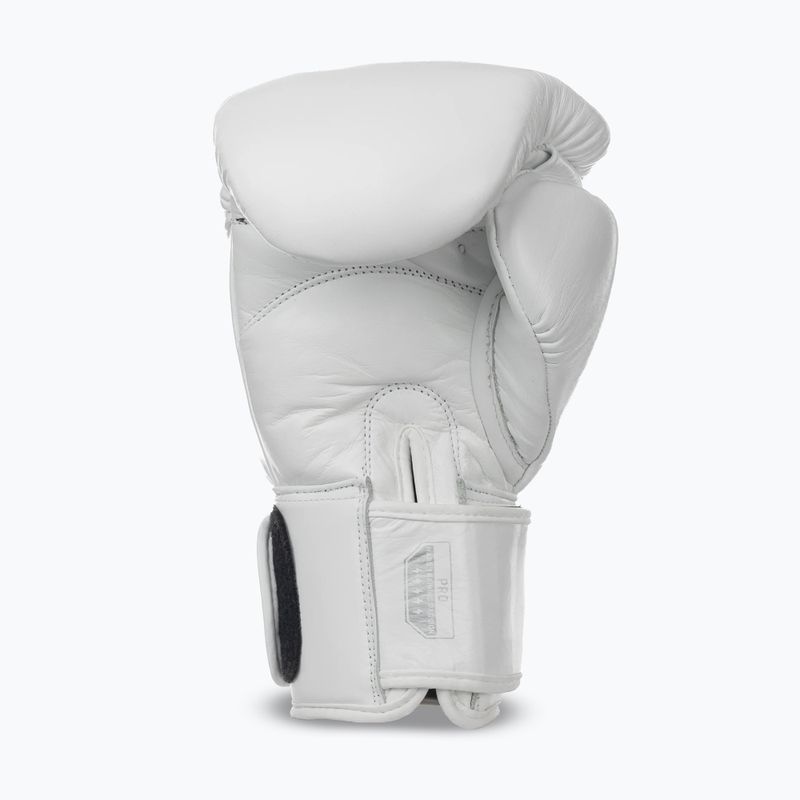Boxhandschuhe StormCloud Muay Thai Blizzard 2.0 white/silver 3