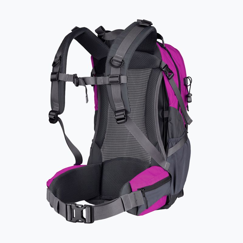 Wanderrucksack Alpinus Tarfala 35 l fuchsia 2