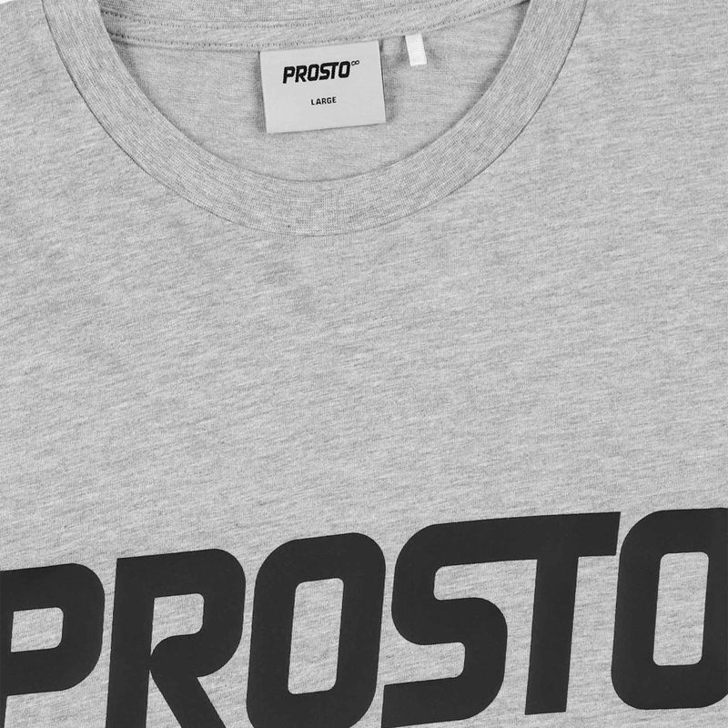 Herren PROSTO Biglog t-shirt grau 3
