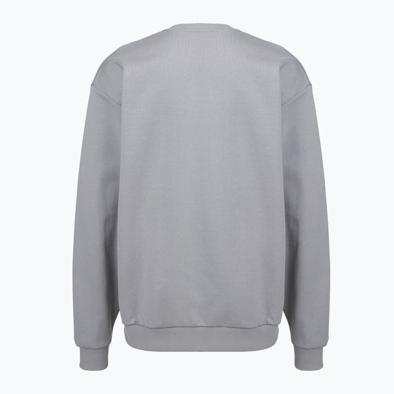 Herrenpullover PROSTO Big Shield Crewneck gray 2
