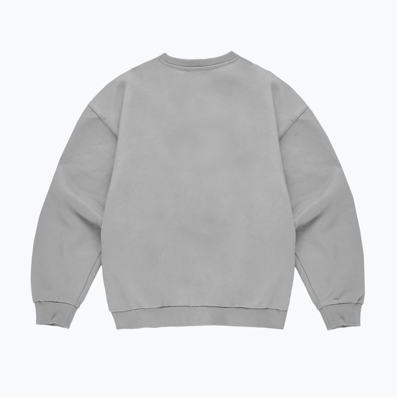 Herrenpullover PROSTO Big Shield Crewneck gray 2