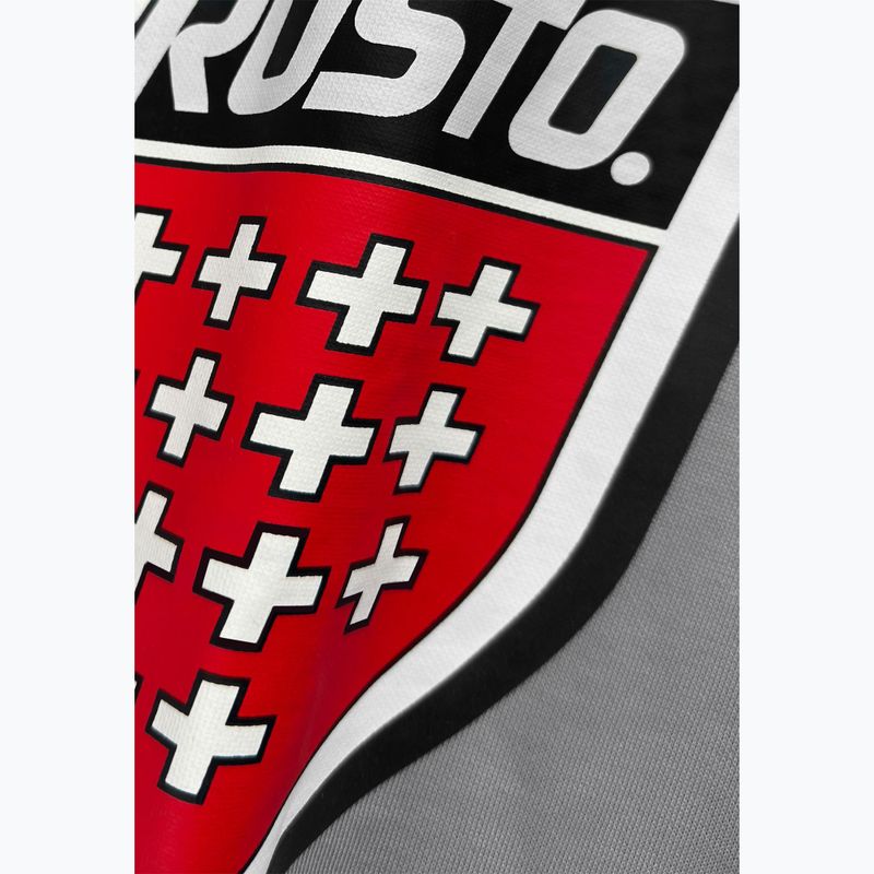 Herrenpullover PROSTO Big Shield Crewneck gray 3