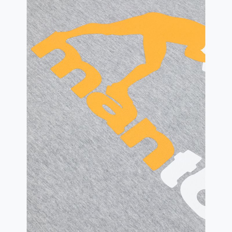 Herrenpullover MANTO Logo Hoody grau 3