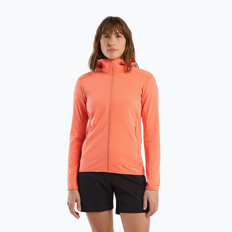 Damen-Trekking-Sweatshirt Arc'teryx Kyanite LT Hoody grau X000005692046