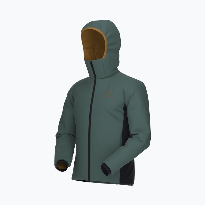 Arcteryx Atom Hoody Herren Daunenjacke Kastenwagen 2