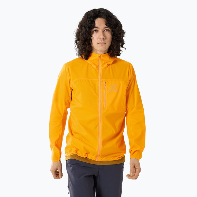 Arc'teryx Squamish Hoody Herren Windjacke edziza