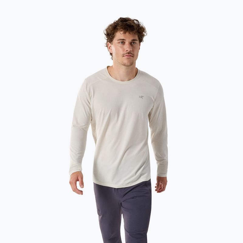 Langarm-Trekkingshirt für Herren Arc'teryx Cormac Crew arctic silk heather