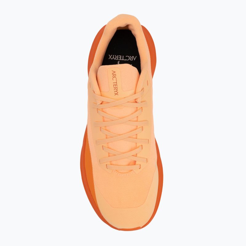 Arc'teryx Norvan LD 4 luminary / verve Damen Laufschuh 5