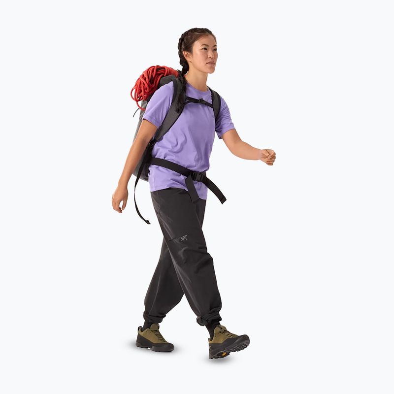 Shirt Damen Arcteryx Kragg Sl Cotton Emblem Crew aster 2