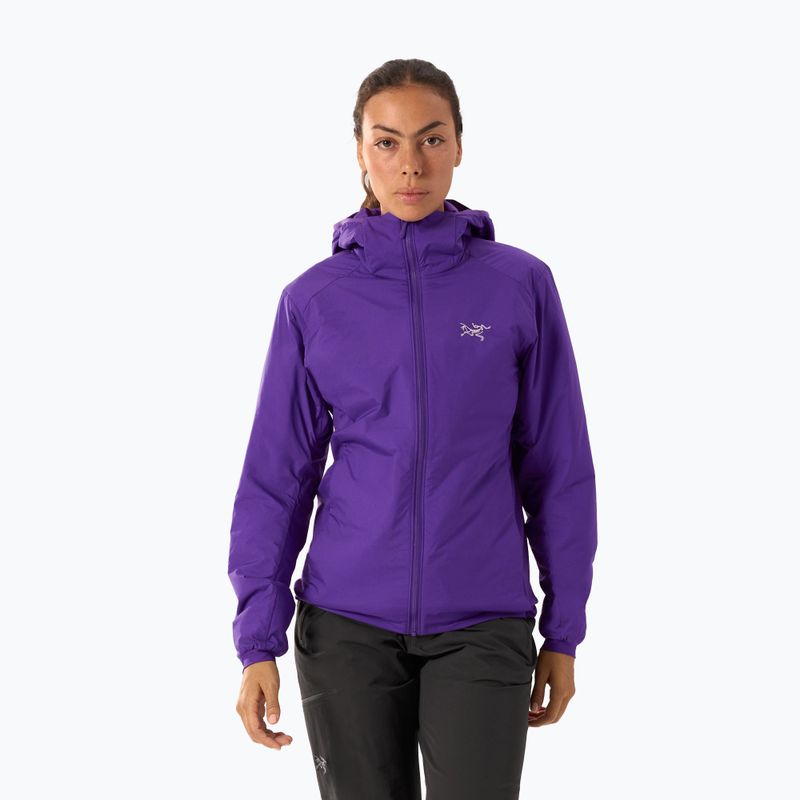 Gefütterte Jacke Damen Arcteryx Atom Hoody azalea