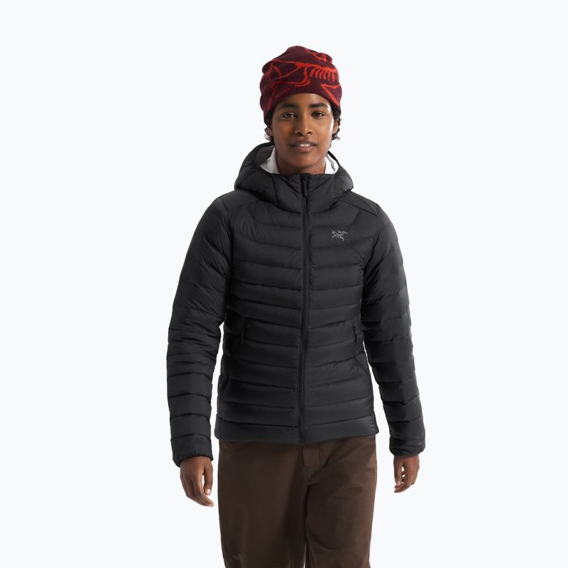 Damen-Isolationsjacke Arcteryx Cerium Hoody black