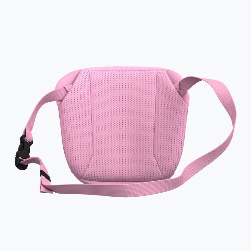 Gürteltasche Arc'teryx Mantis 2 2,5 and pineberry 3