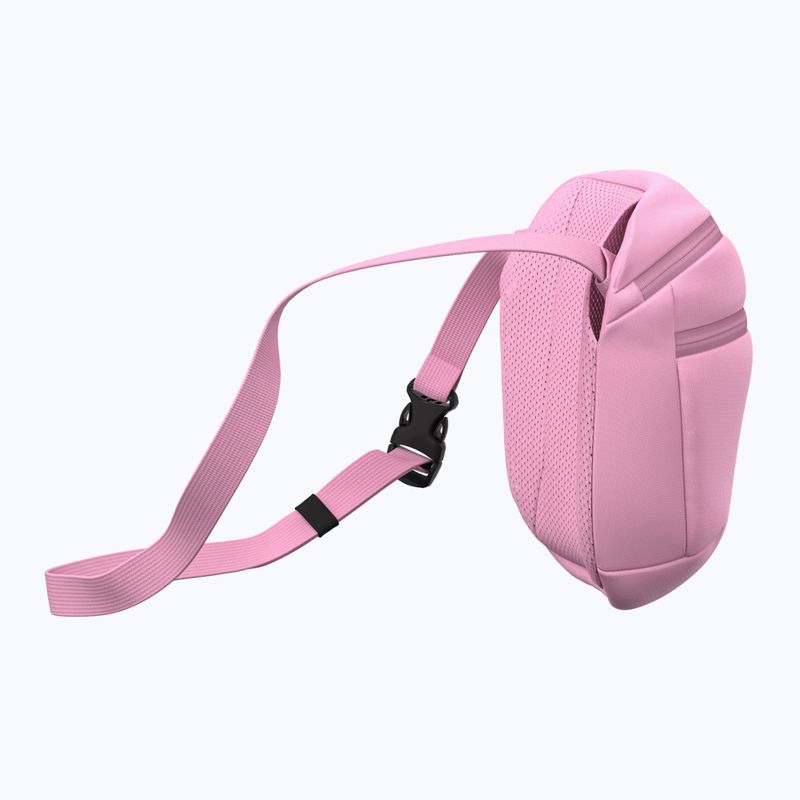 Gürteltasche Arcteryx Mantis 2 2,5 and pineberry 4