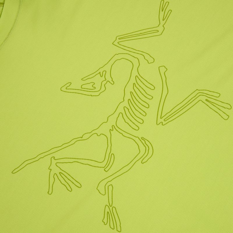 Herren-Shirt Arcteryx Cormac Logo mantis 4