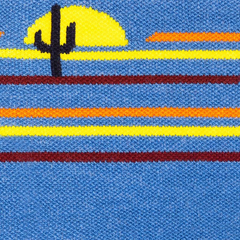 Socken Herren Darn Tough Frontrunner Micro Crew Cushion surf 2