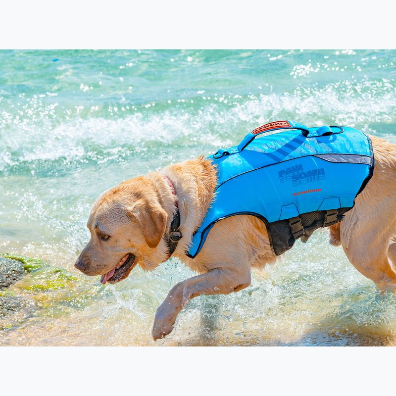 Aquatone Pawsome Pet Sicherheitsweste für Hunde blau 12