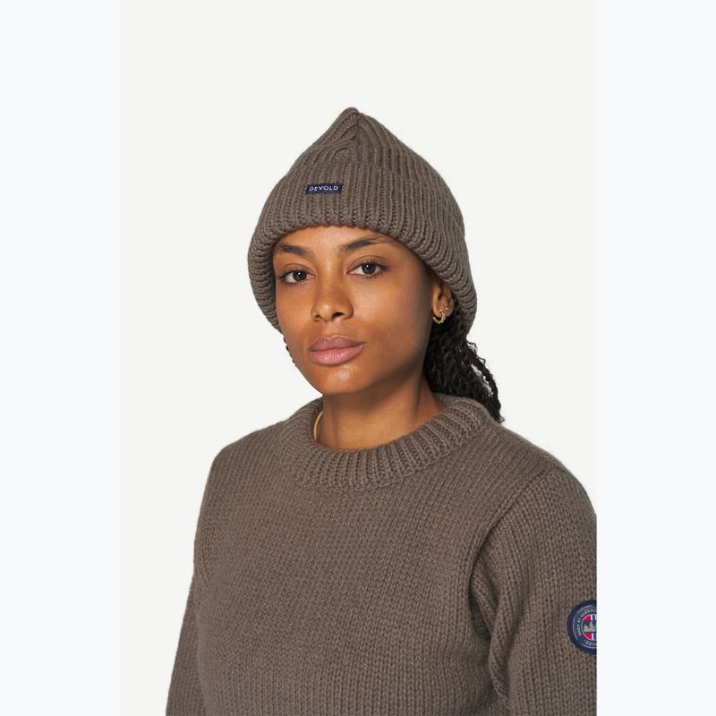 Wintermütze Devold Nansen Wool falcon 2