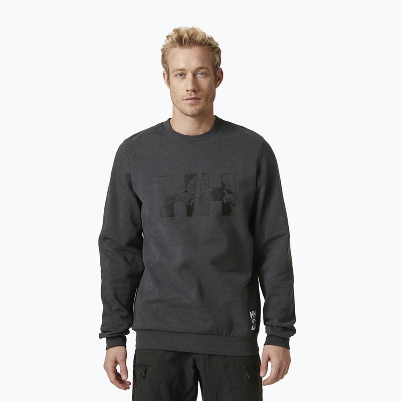 Herren Helly Hansen Arctic Ocean Pullover grau 30364_980
