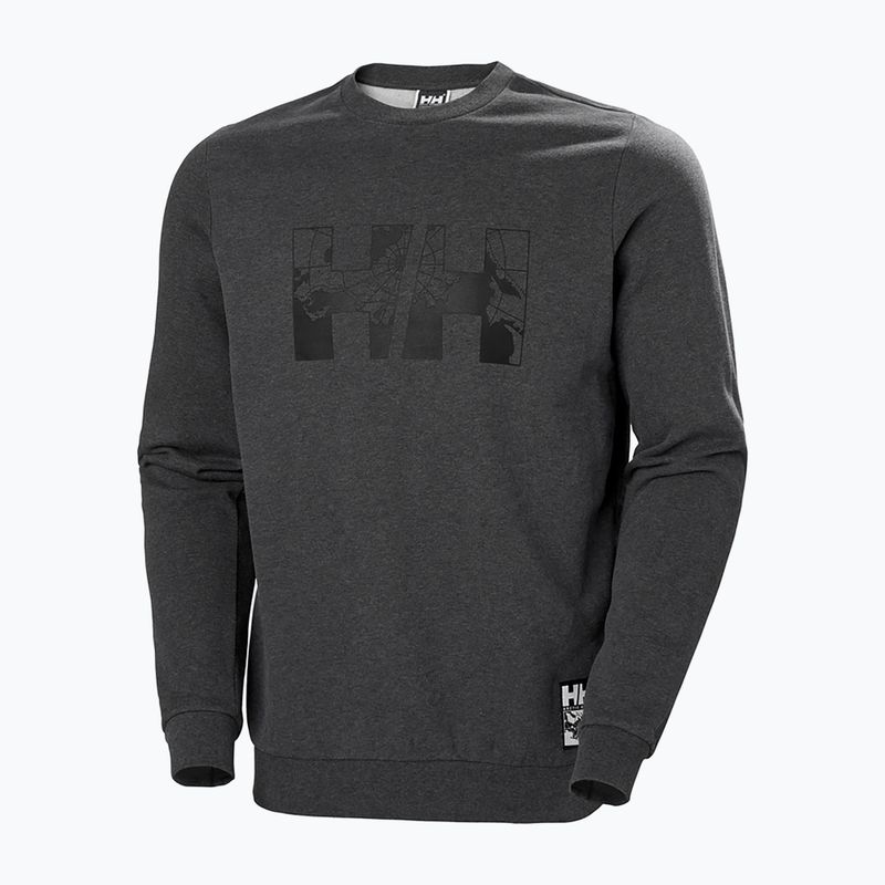 Herren Helly Hansen Arctic Ocean Pullover grau 30364_980