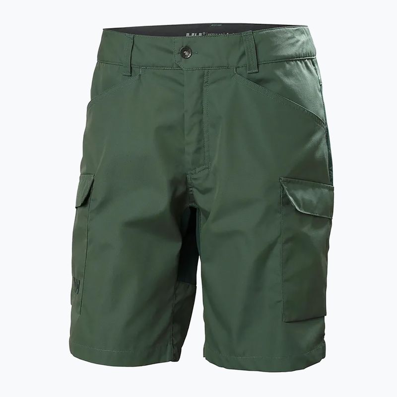 Helly Hansen Herren Vandre Cargo grün Trekkingshorts 62699_476 5