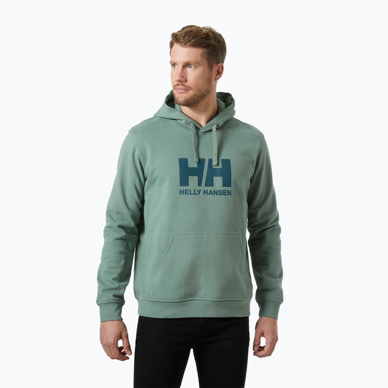 Herren Hoodie Sweatshirt Helly Hansen HH Logo Hoodie cactus