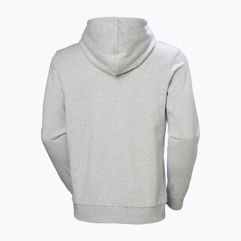Herrenpullover Helly Hansen HH Logo Hoodie grey/melange 6