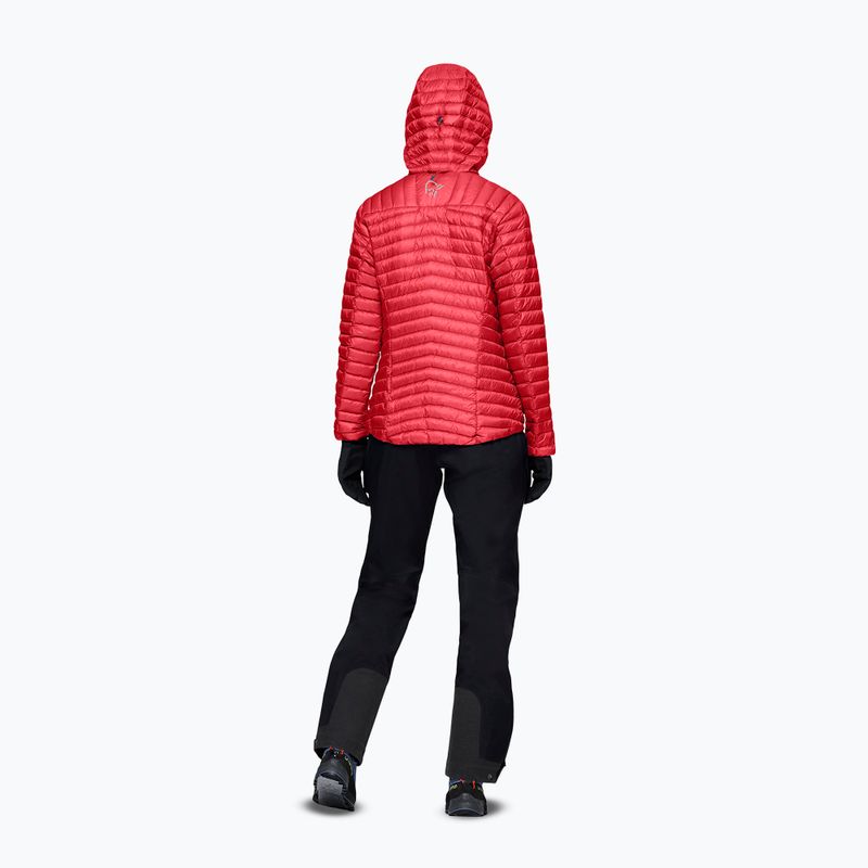 Damen-Daunenjacke Norrona Trollveggen Down800 Super Light Hood Baked Apple 3