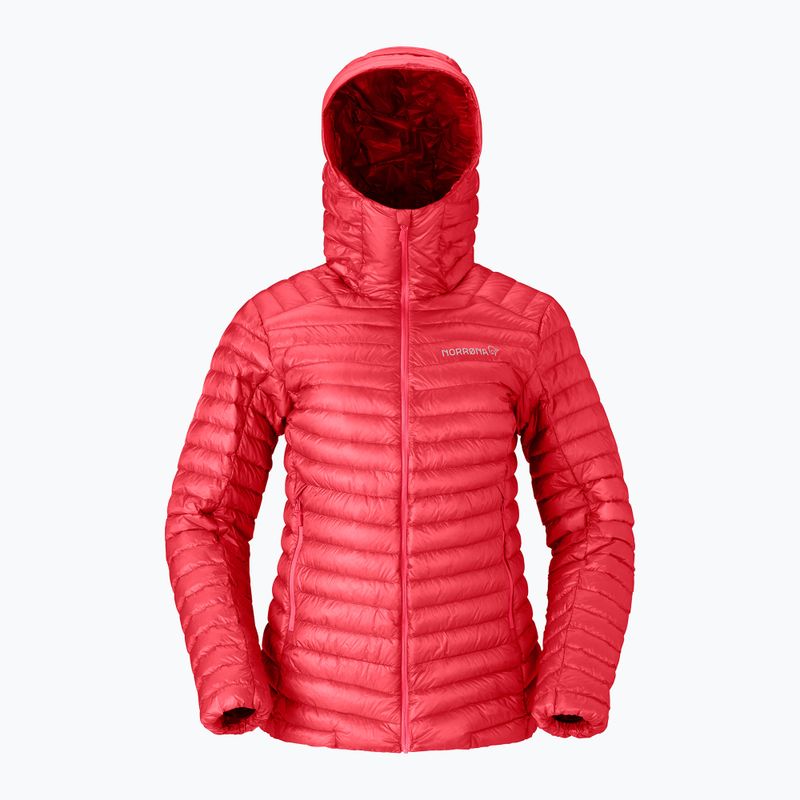 Damen-Daunenjacke Norrona Trollveggen Down800 Super Light Hood Baked Apple 5