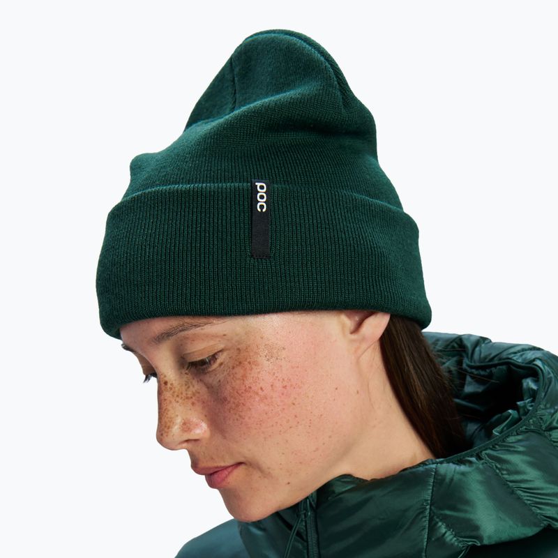 Wintermütze POC Beanie Flat pargasite green 2