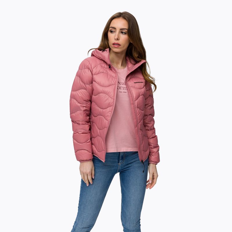 Peak Performance Damen Daunenjacke Helium Down Hood rosa G77238030