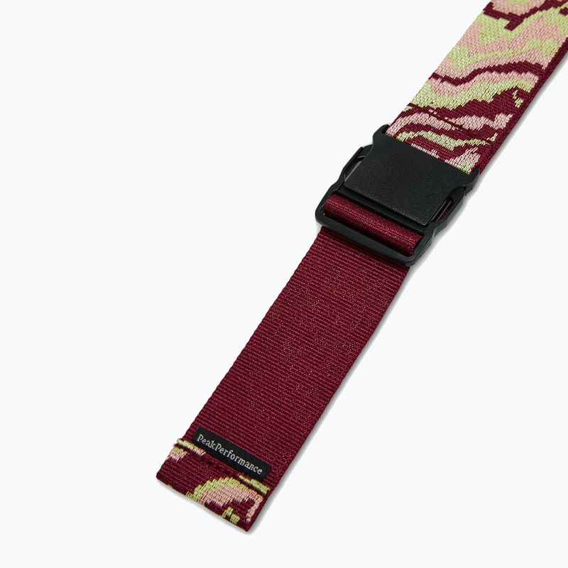 Gürtel Peak Performance Grid 303 artwork 3