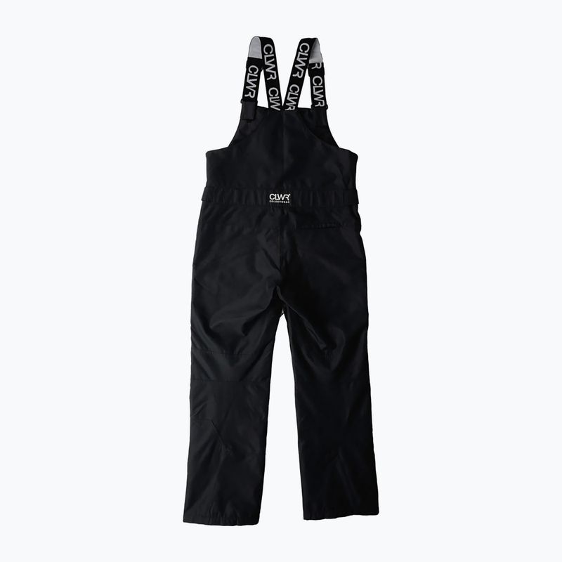 Snowboardhose Herren Colourwear Slash Bib black 11