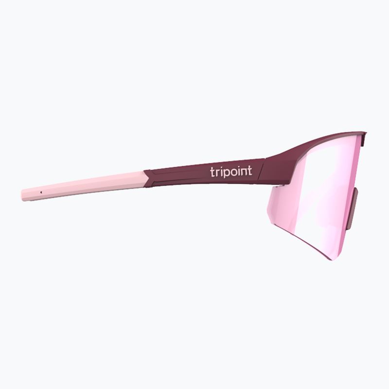 Tripoint 005 Lake Victoria matt bordeaux/braun/rosa Multisonnenbrille 4