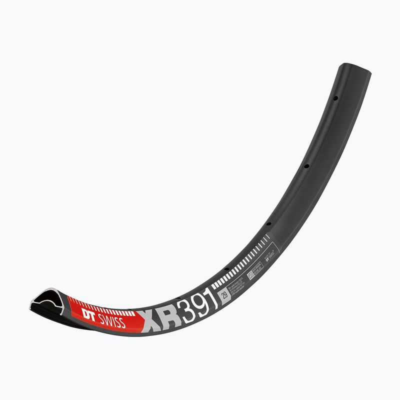 DT Swiss XR 391 29 25 MM DB VI 32 schwarz Fahrradfelge