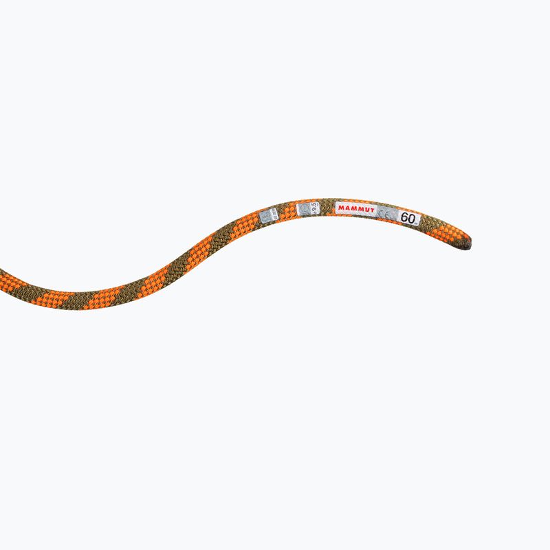 MAMMUT Kletterseil 9.5 Crag Dry orange 2