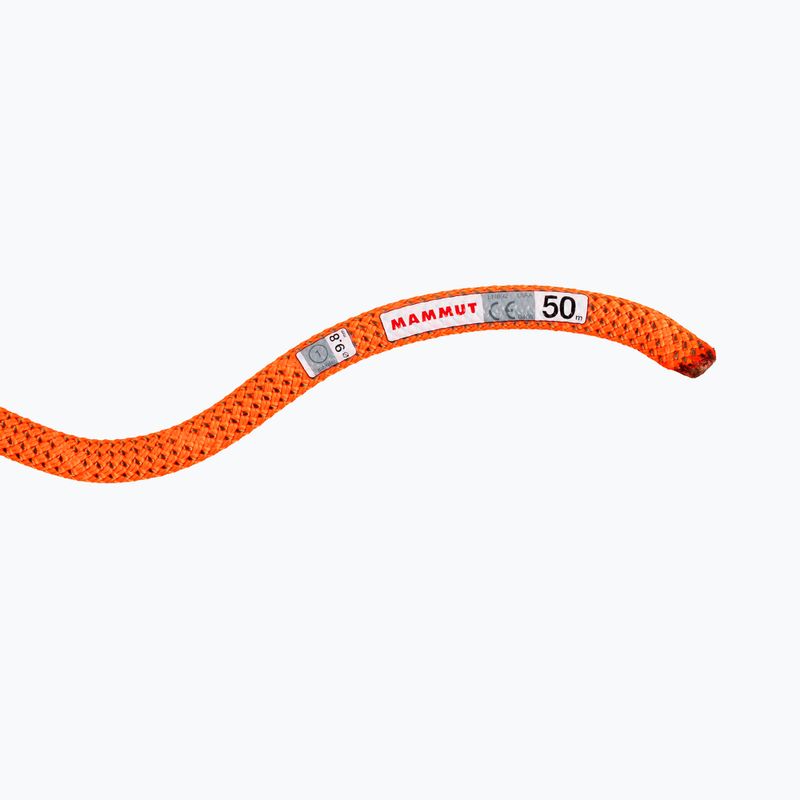 MAMMUT Kletterseil 9.8 Crag Dry orange 2