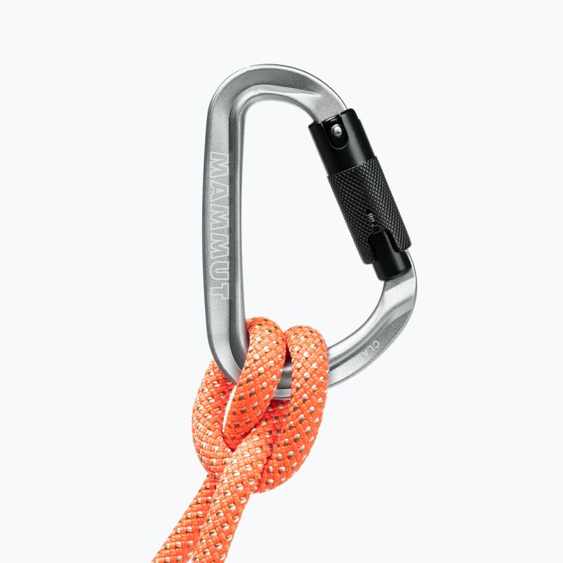 Kletterkarabiner Mammut Classic HMS Twistlock Plus light grey 5