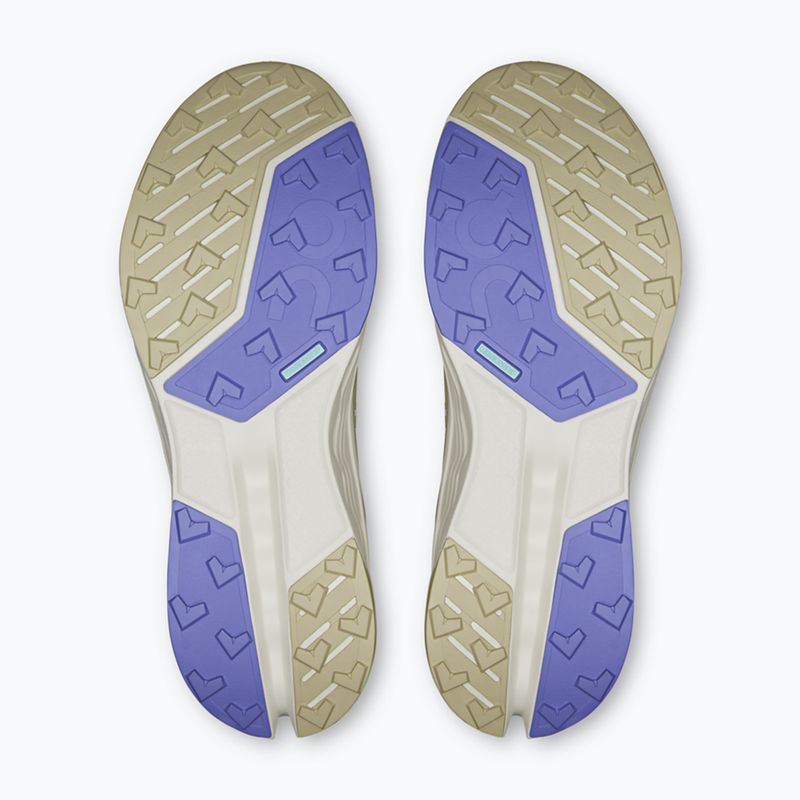 Herren-Laufschuhe On Running Cloudsurfer Trail 2 Waterproof ghost/chalk 5