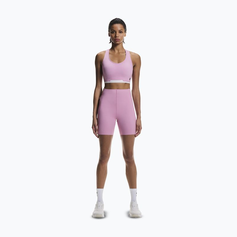 Sport-BH On Train cherry blossom 2