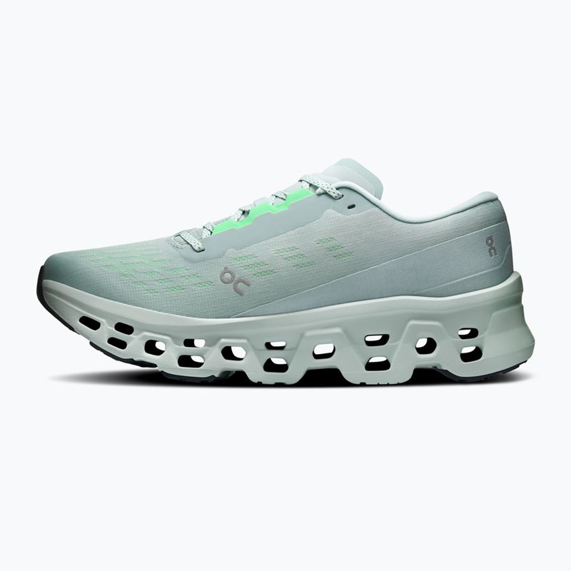 Herren-Laufschuhe On Cloudmonster 3 brook/flurry 2