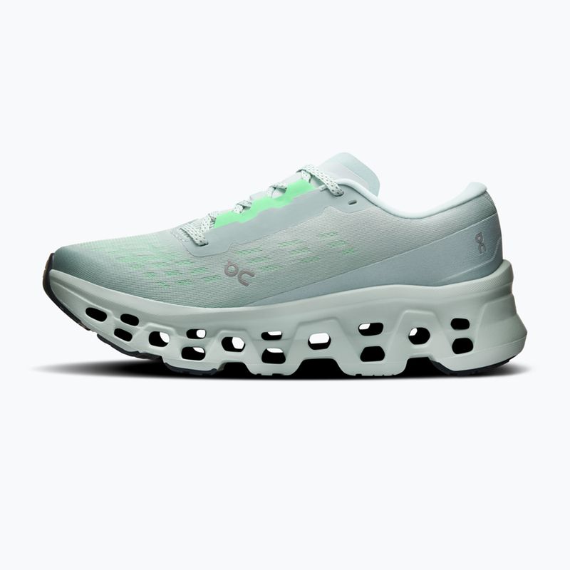 Laufschuhe für Damen On Cloudmonster 3 brook/flurry 2