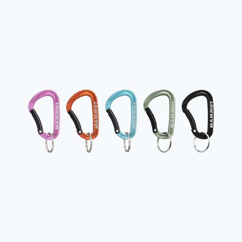 Mammut Mini-Karabiner Classic Keylock S 9000 farbig