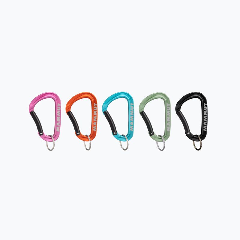 Mammut Mini Karabiner Workhorse Keylock L 9000 Farbe