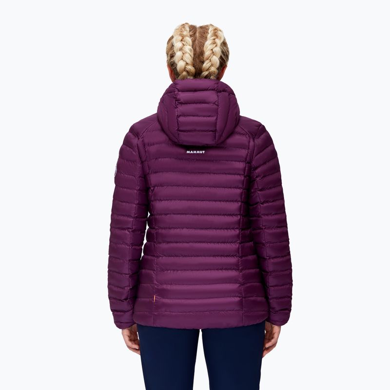 MAMMUT Albula IN Damen Daunenjacke 2