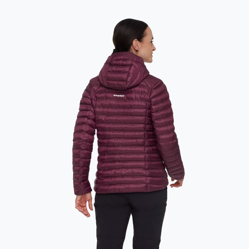 Gefütterte Damenjacke Mammut Albula IN Hooded wine/black 2
